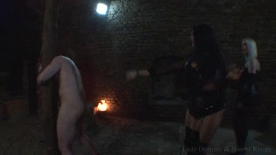 Bittersweet duo whipping