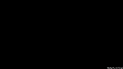 Der Strafklistier