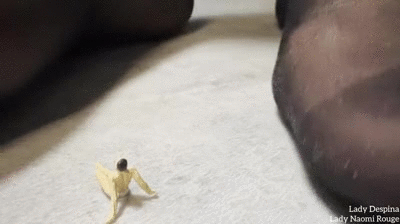 The foot slave has been shrunk! A special kind of duo foot session